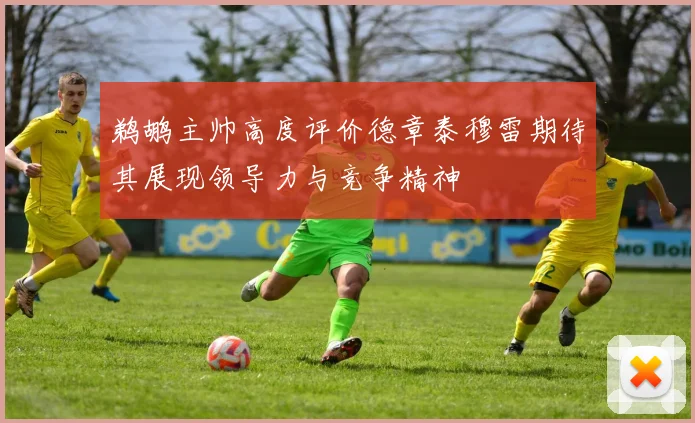鹈鹕主帅高度评价德章泰穆雷期待其展现领导力与竞争精神