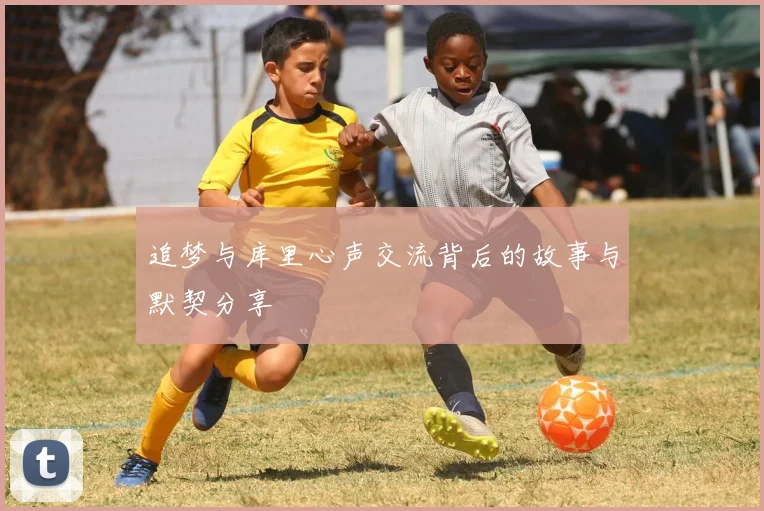 追梦与库里心声交流背后的故事与默契分享