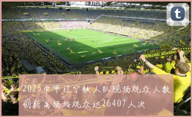 2025中甲辽宁铁人队现场观众人数创新高场均观众达26407人次
