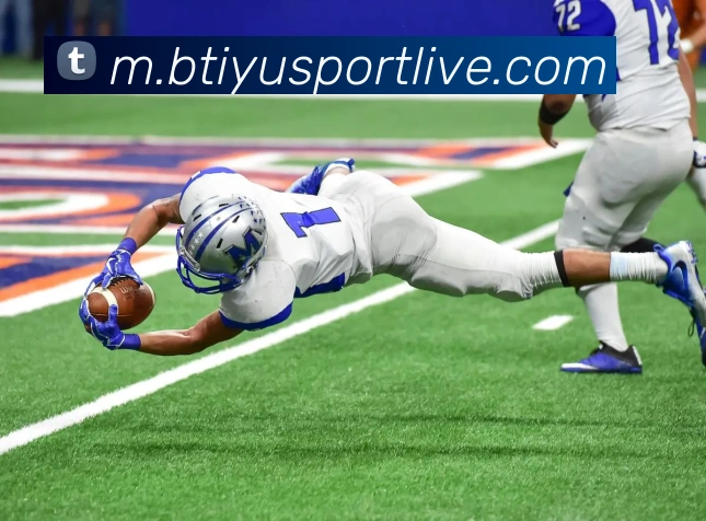 B体育平台生态图